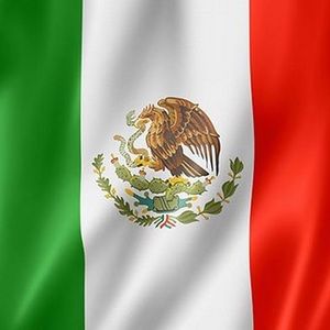 Meet your Posher, Leo